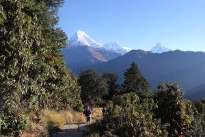 Ghorepani Poon Hill Trek Package